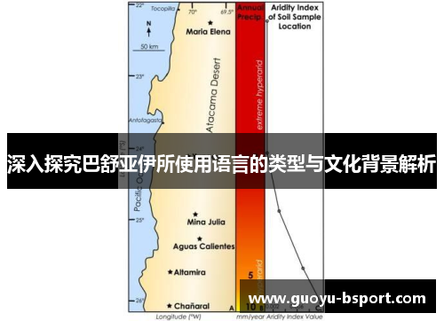 深入探究巴舒亚伊所使用语言的类型与文化背景解析