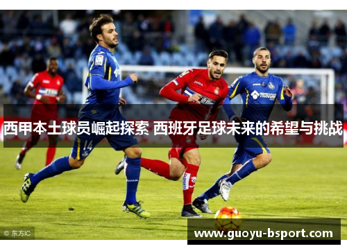 西甲本土球员崛起探索 西班牙足球未来的希望与挑战 西甲本土球员崛起探索 西班牙足球未来的希望与挑战