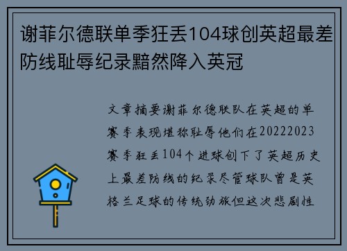 谢菲尔德联单季狂丢104球创英超最差防线耻辱纪录黯然降入英冠 谢菲尔德联单季狂丢104球创英超最差防线耻辱纪录黯然降入英冠